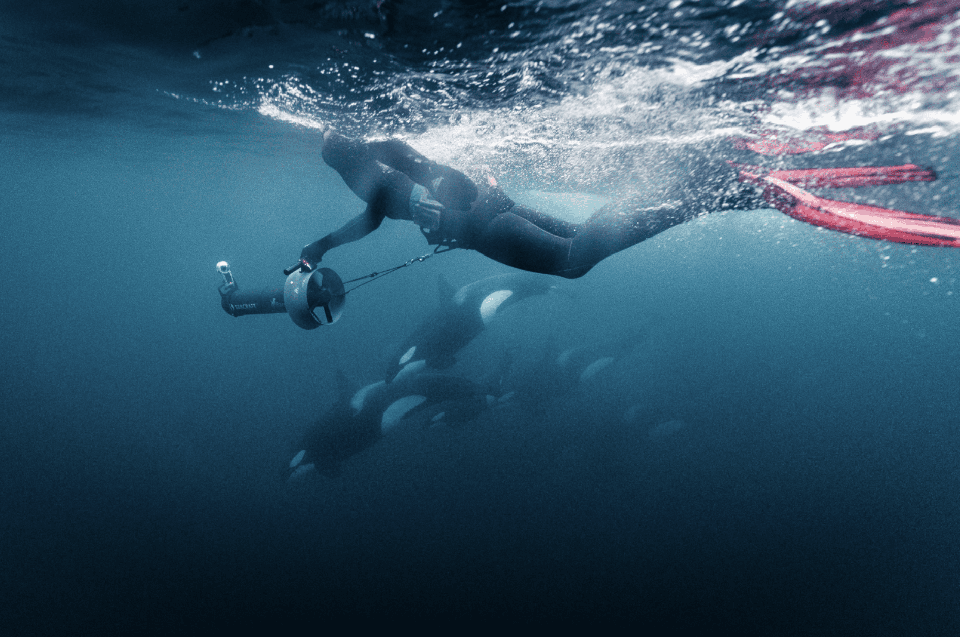 Live From Norway – Late Expedition